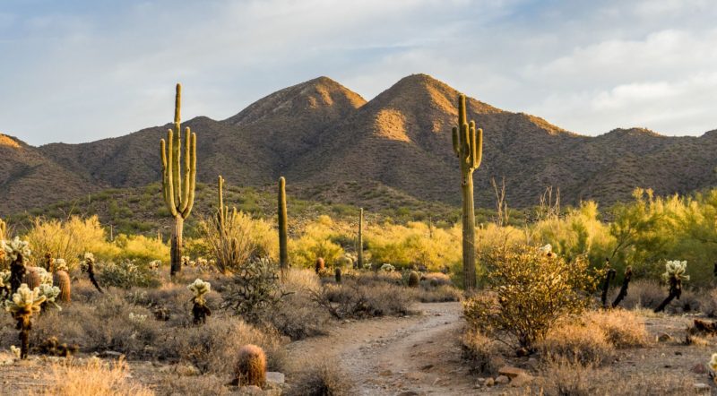 Gottman Scottsdale location nature